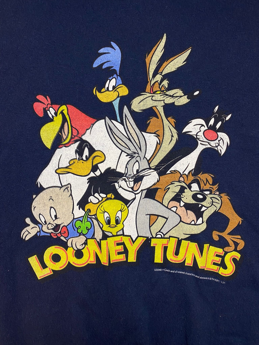 Looney tunes Sweater