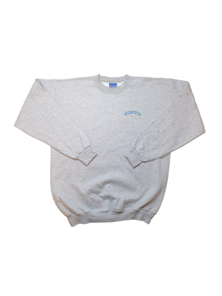 Champion Sweater „TastyKake“