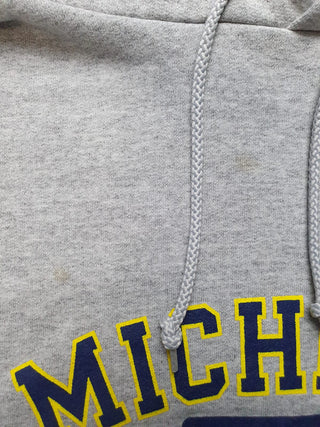 Champion Michigan Hoodie