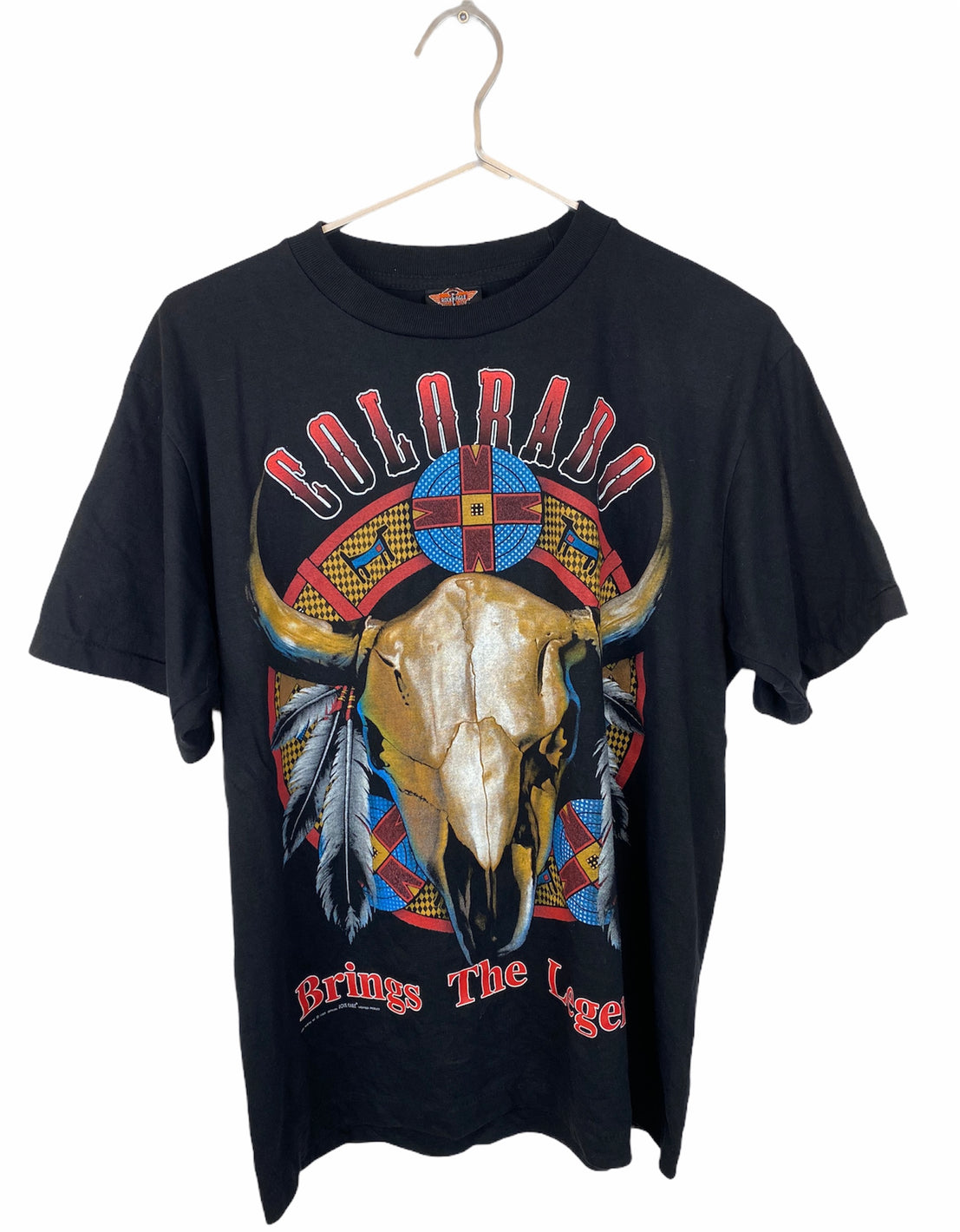 USA Colorado Rock Eagle Bandshirt