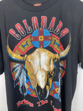 USA Colorado Rock Eagle Bandshirt