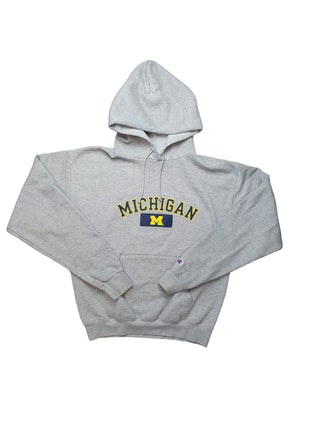 Champion Michigan Hoodie