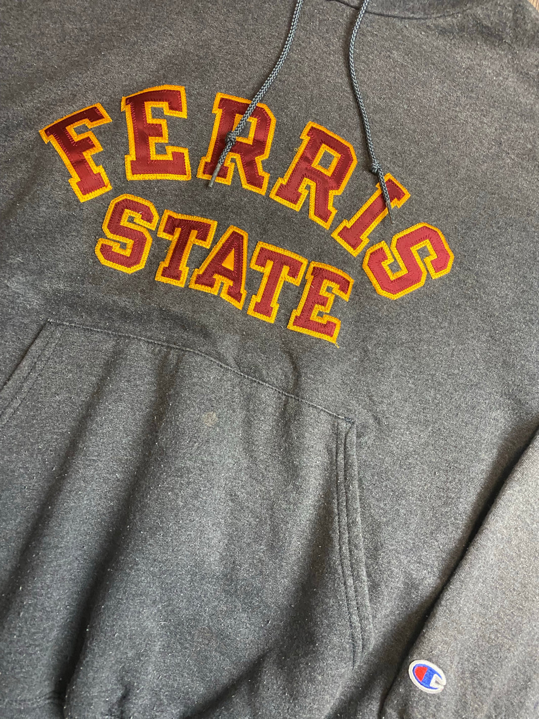 Champion Ferris State Hoodie