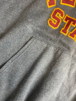 Champion Ferris State Hoodie