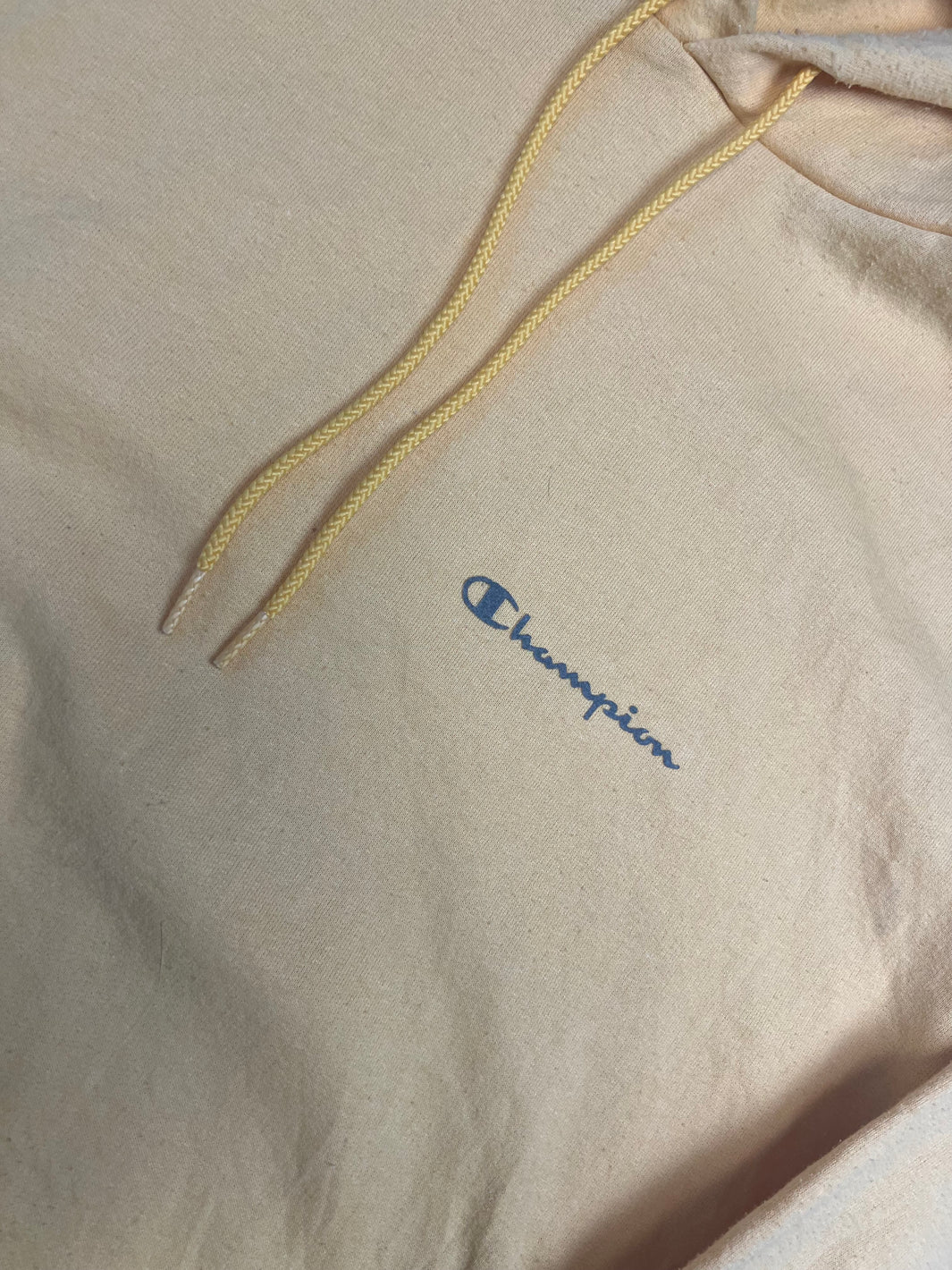 Champion Hoodie