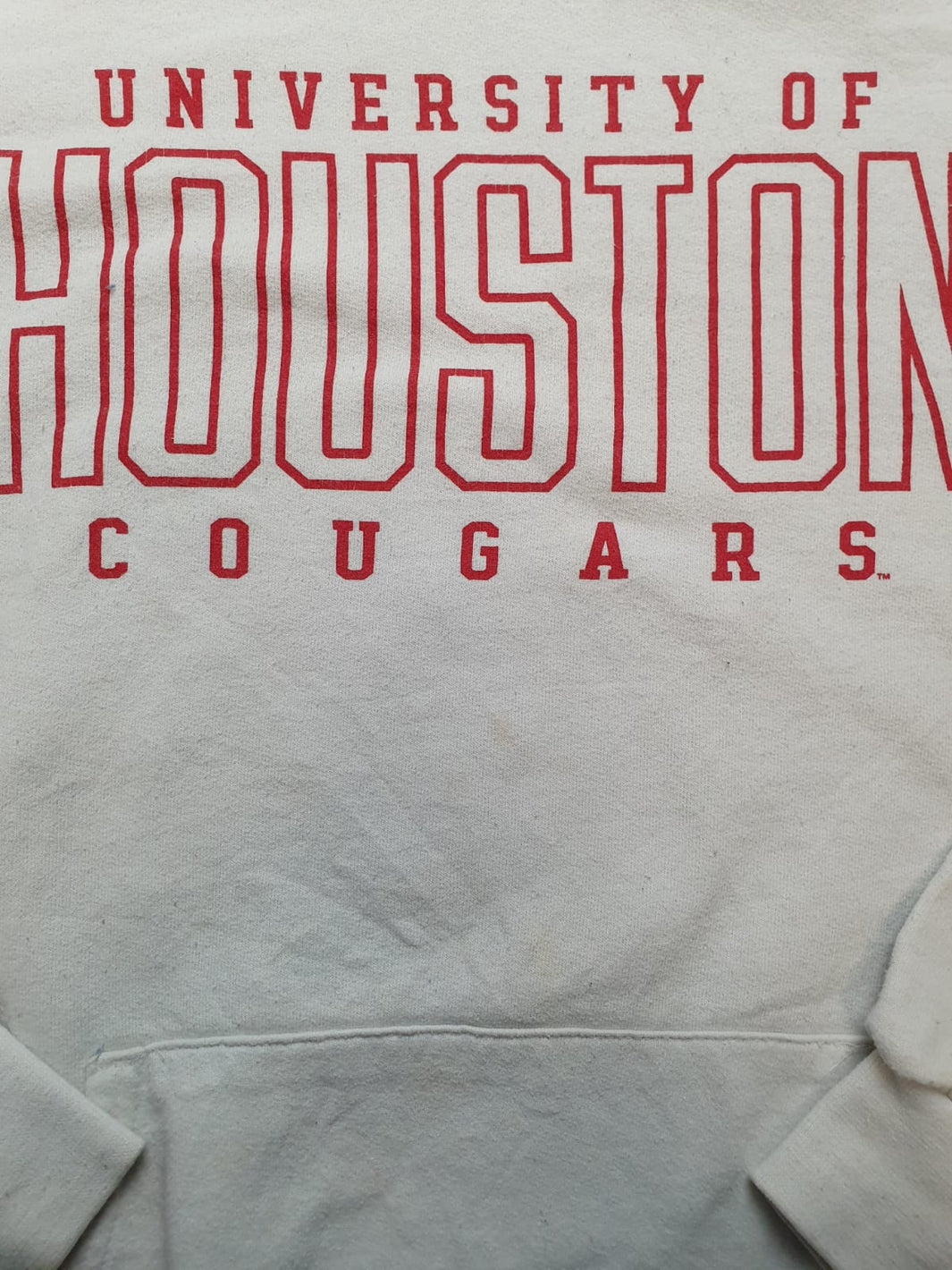 Champion College Hoodie