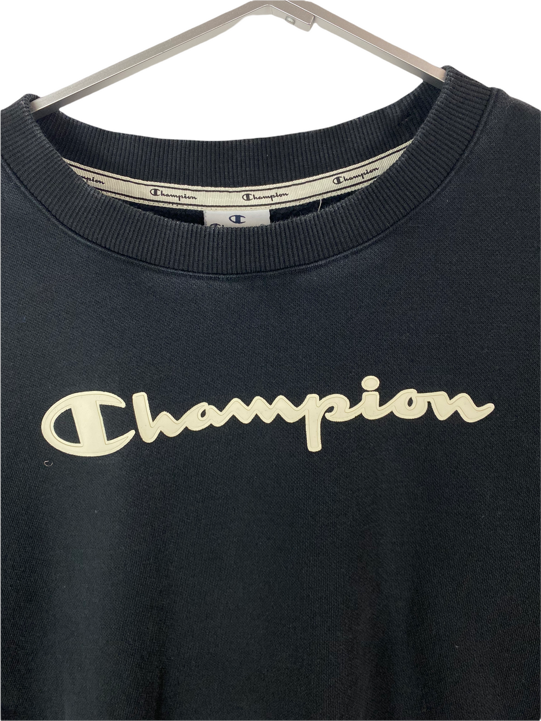 Champion Sweater