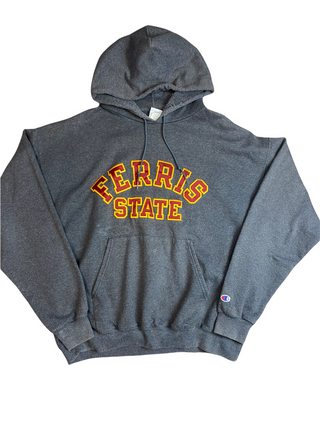 Champion Ferris State Hoodie